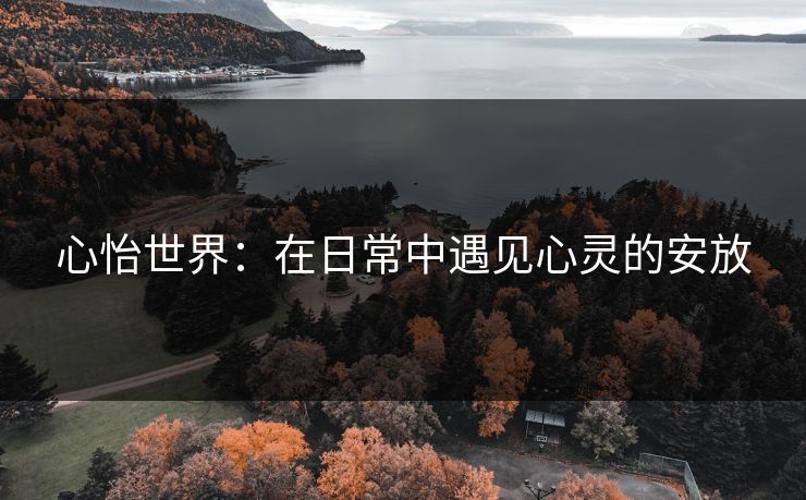 心怡世界：在日常中遇见心灵的安放