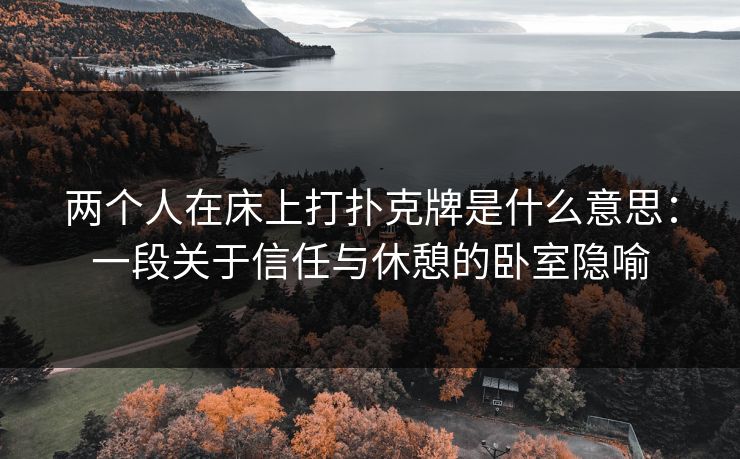 两个人在床上打扑克牌是什么意思：一段关于信任与休憩的卧室隐喻
