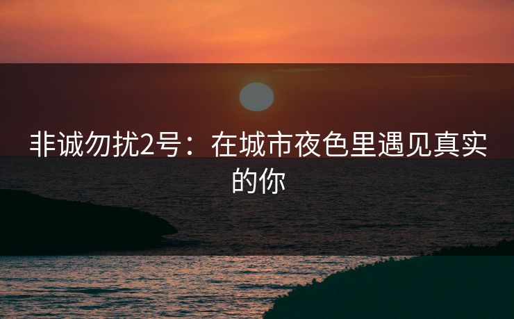 非诚勿扰2号：在城市夜色里遇见真实的你