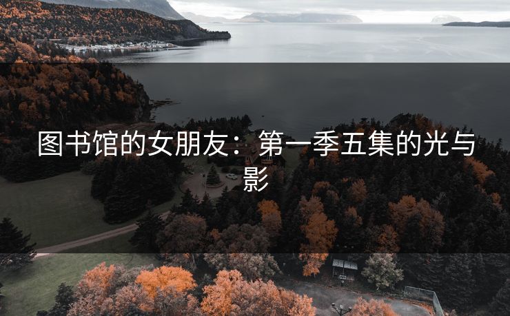 图书馆的女朋友：第一季五集的光与影