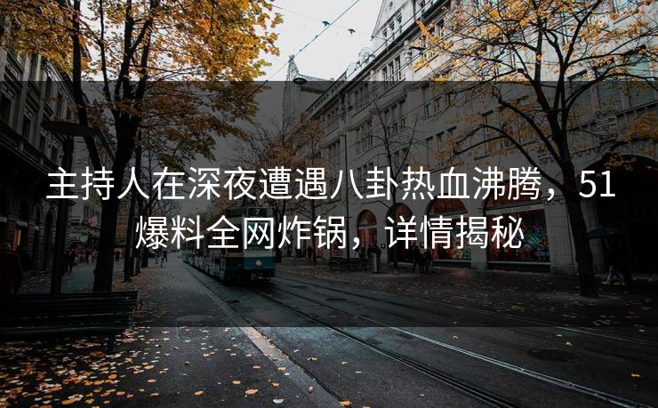 主持人在深夜遭遇八卦热血沸腾，51爆料全网炸锅，详情揭秘