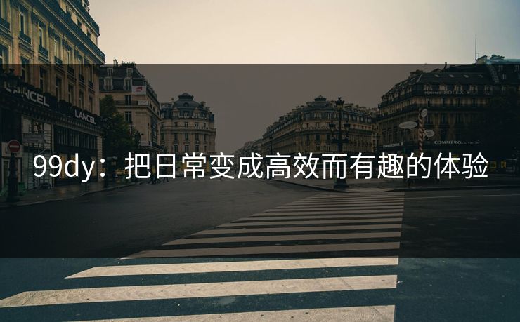 99dy：把日常变成高效而有趣的体验