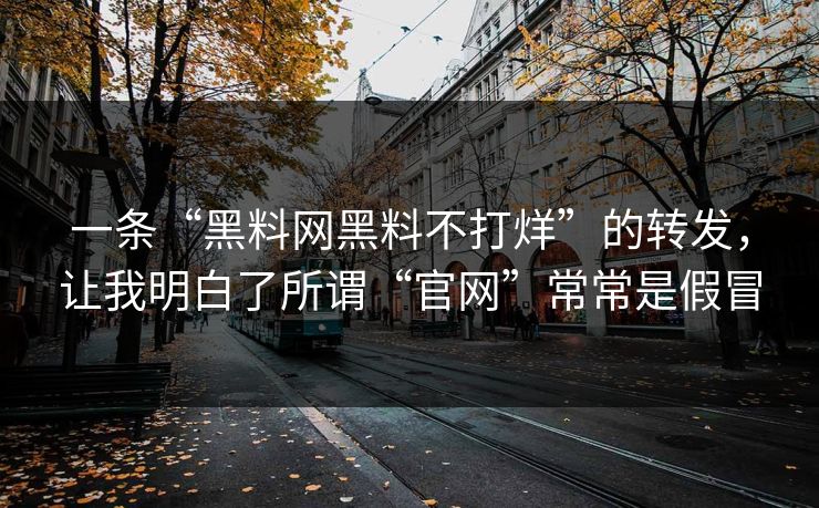 一条“黑料网黑料不打烊”的转发，让我明白了所谓“官网”常常是假冒