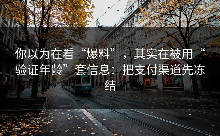 你以为在看“爆料”，其实在被用“验证年龄”套信息：把支付渠道先冻结
